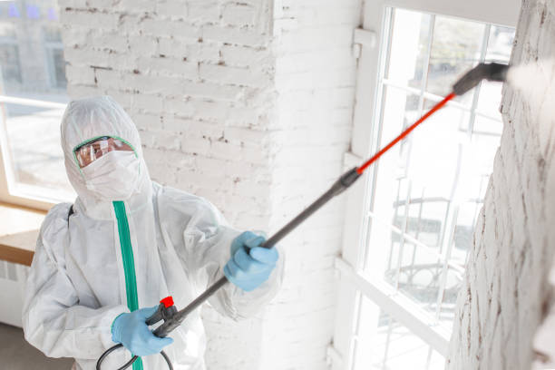 Best Mold Documentation for Insurance Claims  in Pinedale, WY