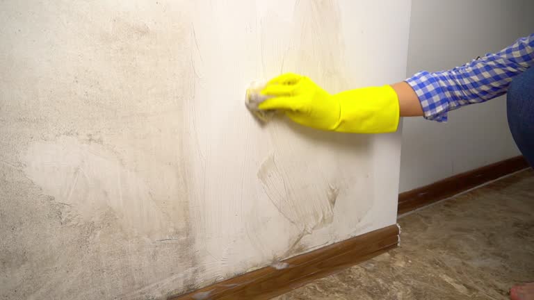 Best Mold Odor Removal Services  in Pinedale, WY